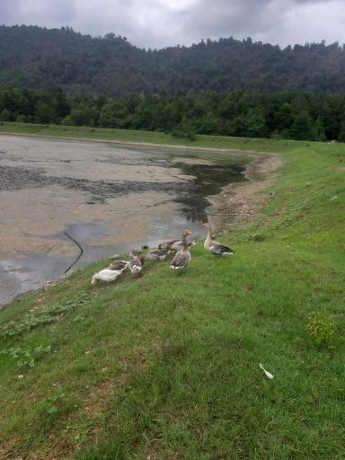 عکس دریاچه پیرهرات