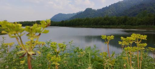 عکس دریاچه پیرهرات