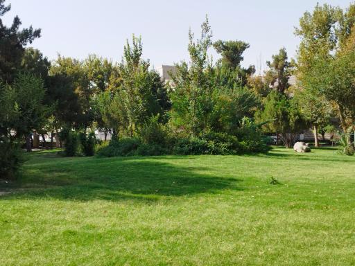 عکس بوستان صنوبر