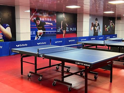 عکس آکادمی تنیس روی میز پورمد