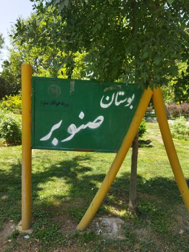 عکس بوستان صنوبر