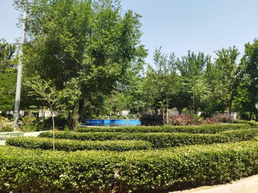 عکس بوستان صنوبر