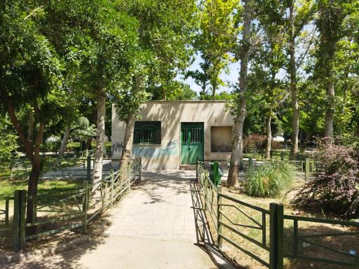 عکس بوستان صنوبر