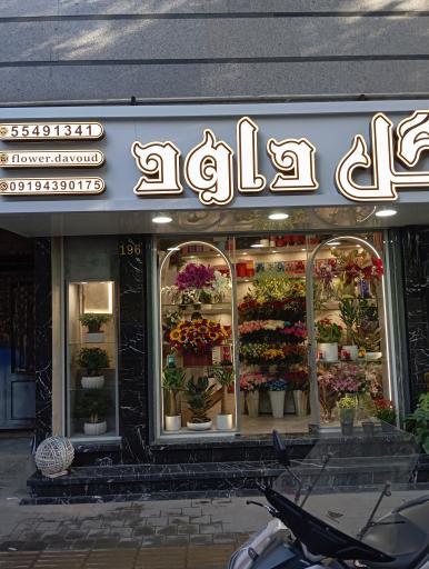 عکس گل فروشی داوود 