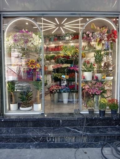 عکس گل فروشی داوود 