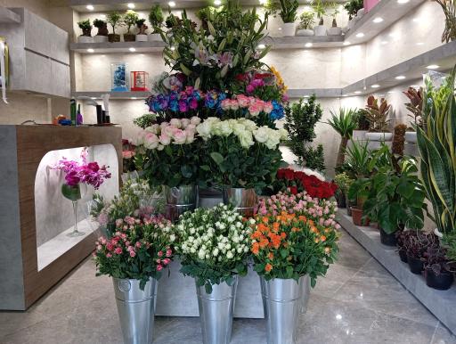 عکس گل فروشی داوود 