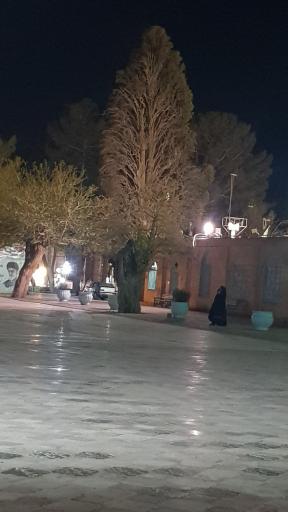 عکس لافت