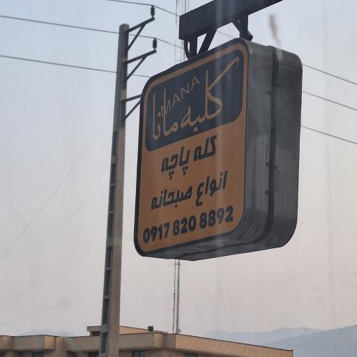 عکس کله پاچه مانا