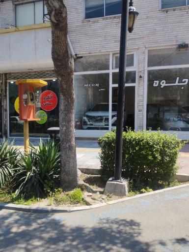 عکس نمایشگاه اتومبیل رحیمی