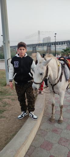 عکس پارک ساحلی ریحانه