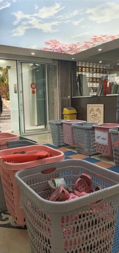 عکس استخر دانشگاه قم