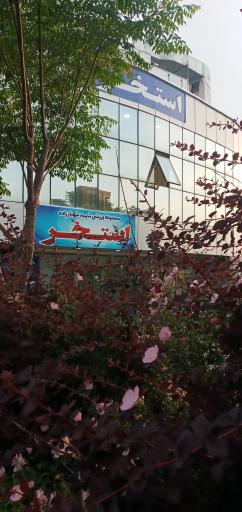 عکس استخر دانشگاه قم