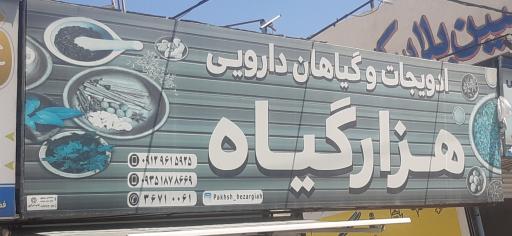 عکس عطاری هزار گیاه(پخش عمده)