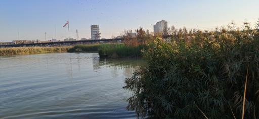 پارک ساحلی ریحانه