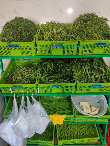 عکس سبزی خردکنی بانو