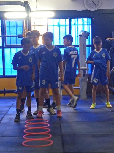 عکس مجموعه ورزشی شهدای شمیران نو