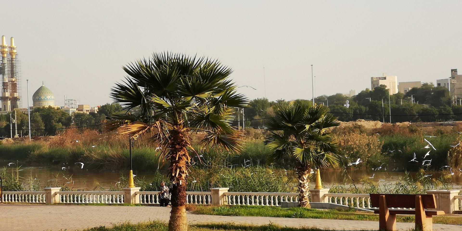 عکس پارک ساحلی ریحانه