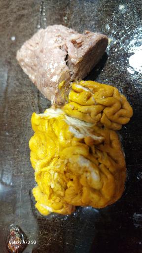 ساندویچ مترو