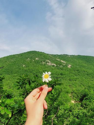 عکس جنگل مکیدی درسی