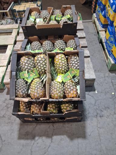 عکس آبمیوه و بستنی بابا بسنتی