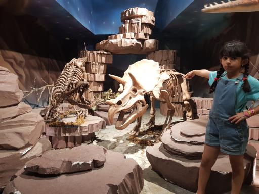 عکس تم پارک سنتر کیش