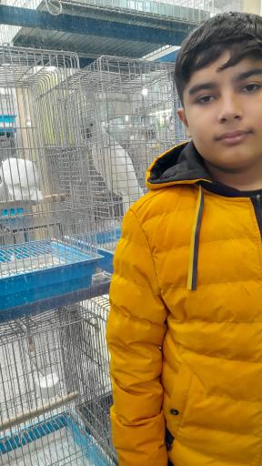 عکس بازار پرندگان خلیج فارس