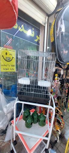 عکس بازار پرندگان خلیج فارس