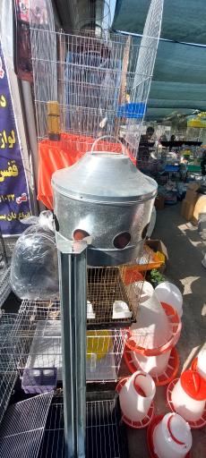 عکس بازار پرندگان خلیج فارس