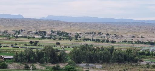 عکس پارک جنگلی میلاد