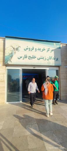 بازار پرندگان خلیج فارس