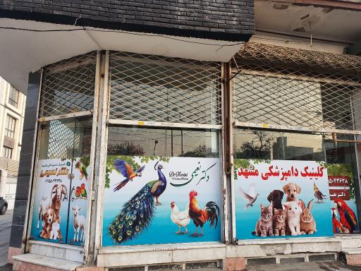 عکس کلینیک دامپزشکی مشهد