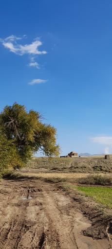 عکس مقبره شیخ حسن جوری