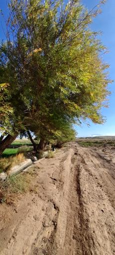 عکس مقبره شیخ حسن جوری