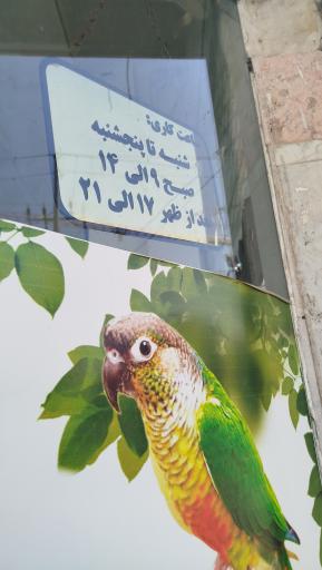عکس کلینیک دامپزشکی مشهد