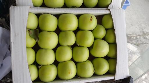 عکس میوه سرای خاطره