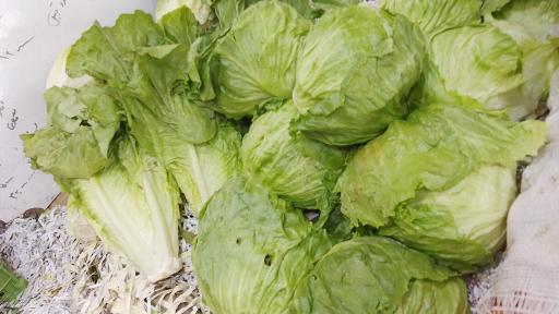 عکس میوه سرای خاطره