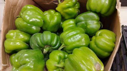 عکس میوه سرای خاطره