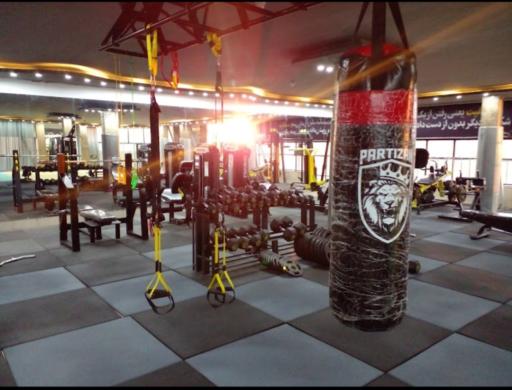 عکس پرورش اندام دیاکو