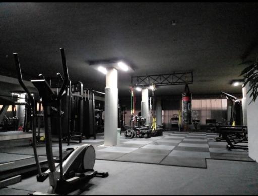 عکس پرورش اندام دیاکو