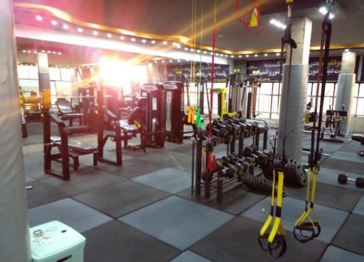 عکس پرورش اندام دیاکو