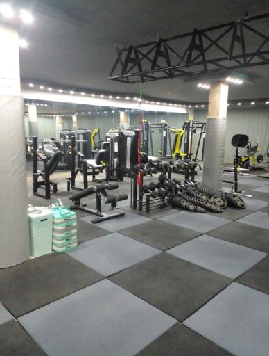 عکس پرورش اندام دیاکو