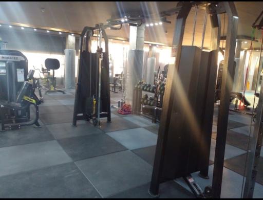 عکس پرورش اندام دیاکو