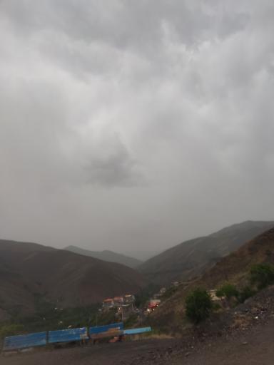 عکس زشک