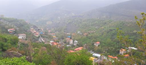 عکس زشک