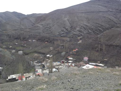 عکس زشک