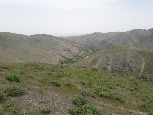 عکس زشک