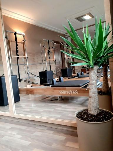 عکس استودیو پیلاتس ریفرم