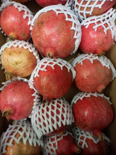 عکس میوه وتره بار سیرتی