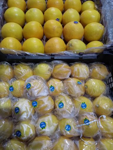 عکس میوه وتره بار سیرتی