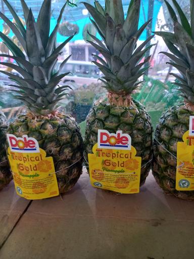 عکس میوه وتره بار سیرتی